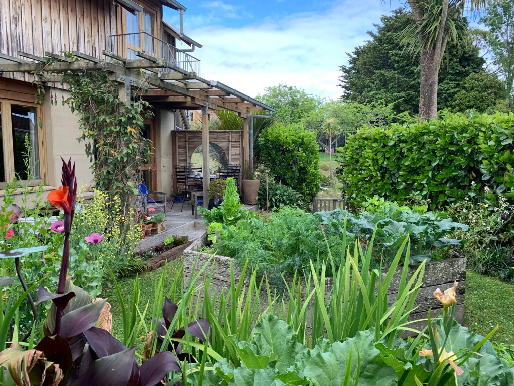 Our back garden - blooming!