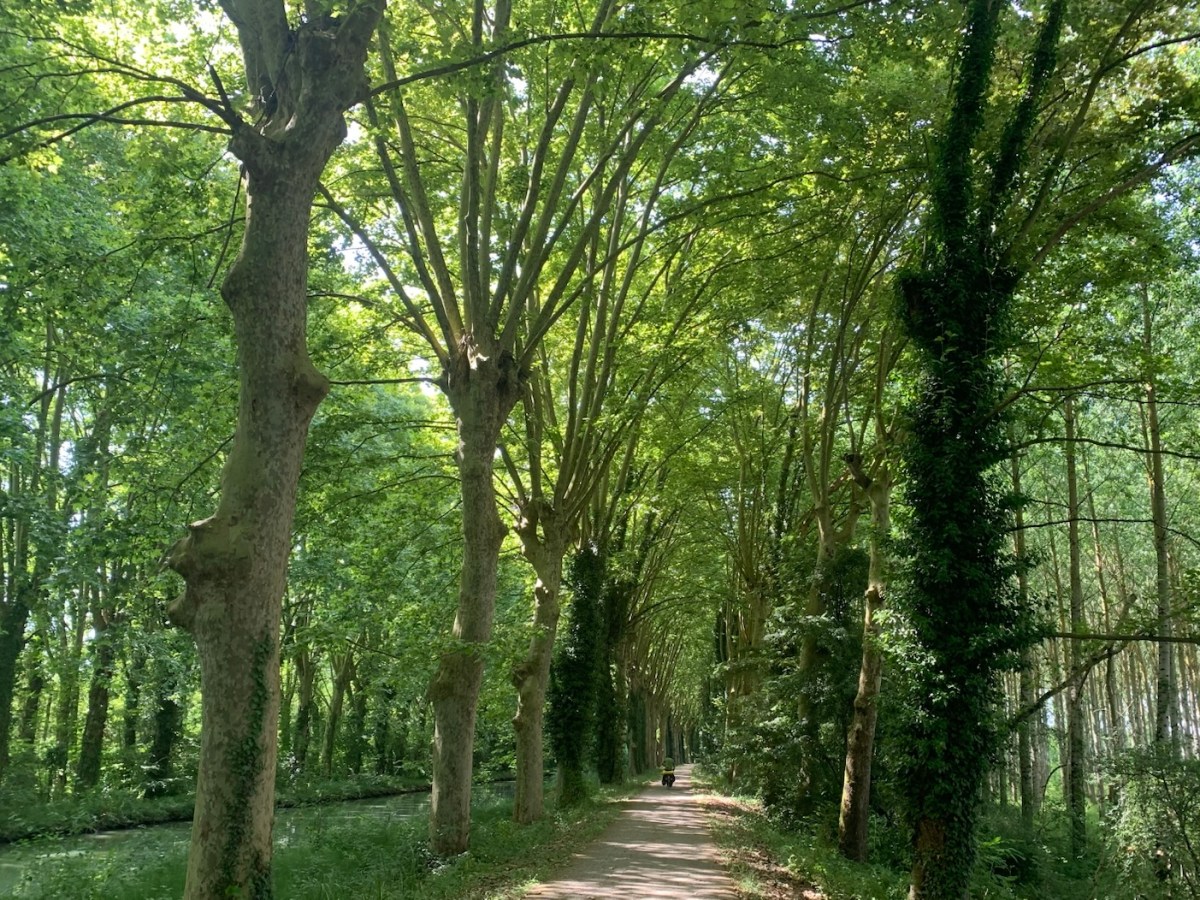 Nature’s Cathedrals