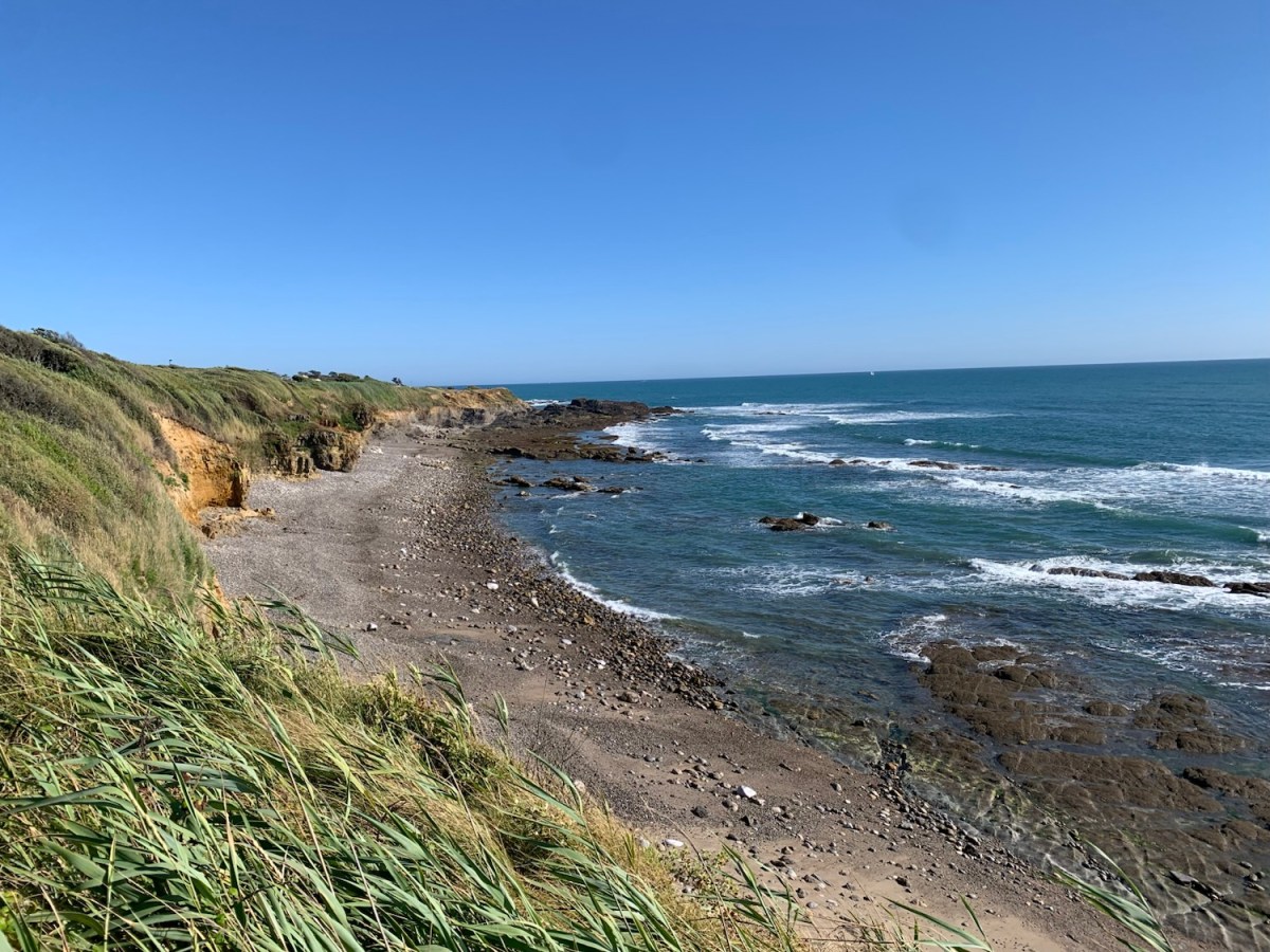 Sunshine, Sickness and&nbsp;Saviours