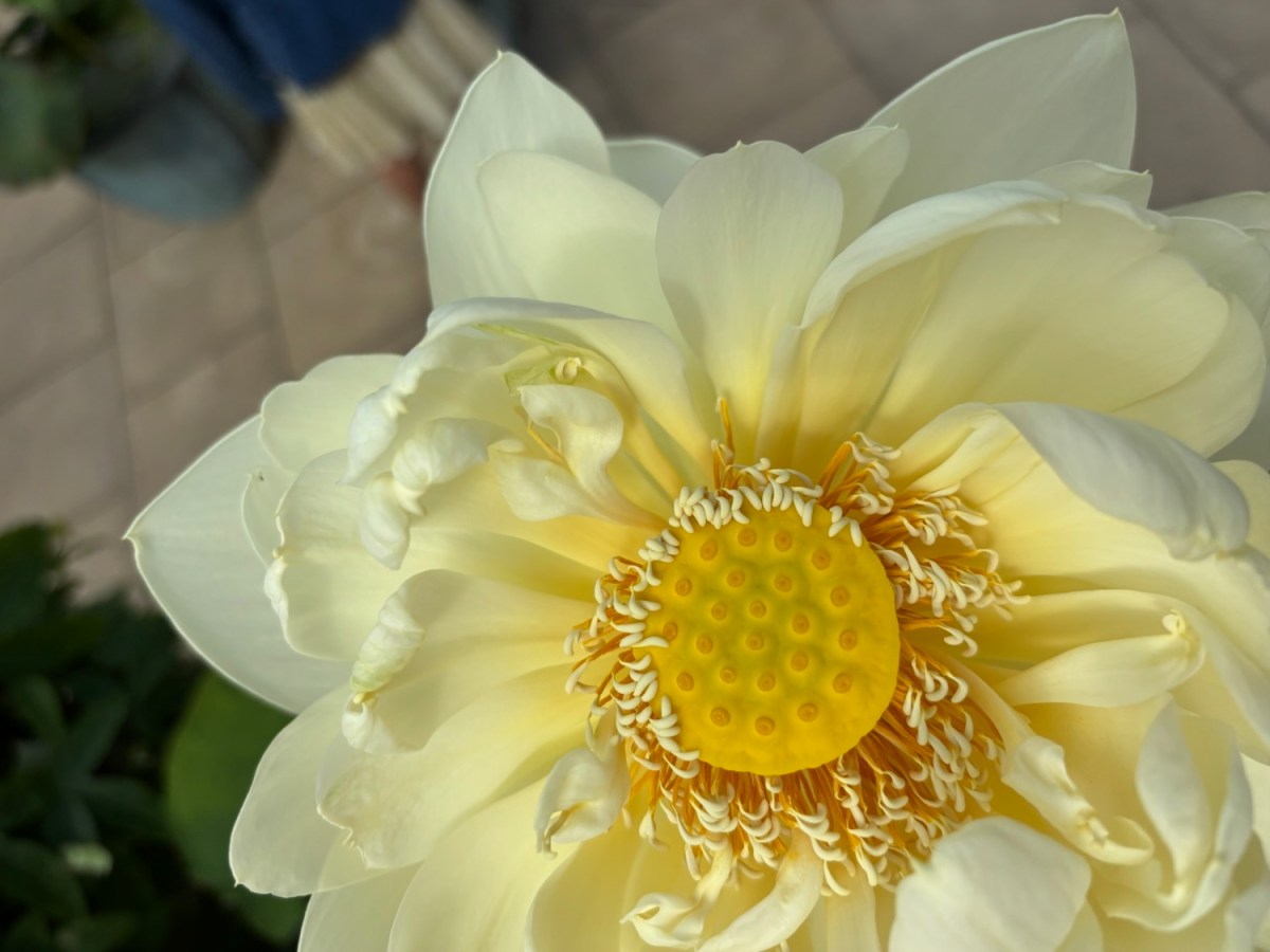 London Ends Our&nbsp;Adventure